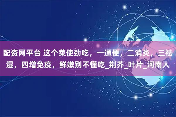 配资网平台 这个菜使劲吃，一通便，二消炎，三祛湿，四增免疫，鲜嫩别不懂吃_荆芥_叶片_河南人